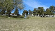 offthejacks lincoln classic cars Black car ipofshow GIF