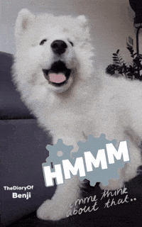 Thinking No GIF