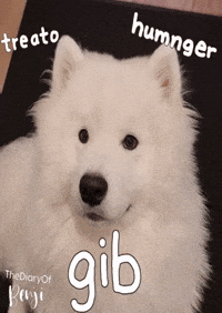 Hungry Candy GIF