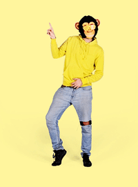 gif artist monkey GIF