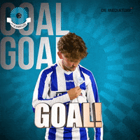 Voetbalvereniging_Scherpenzeel goal win score voetbal GIF