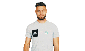 football kiss Sticker by 1. fotbalová liga