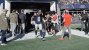 Football Nfl GIF by New England Patriots