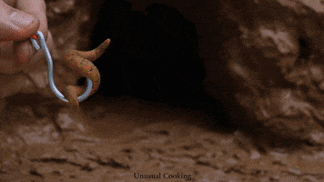 Frog Cooking GIF by UnusualCooking