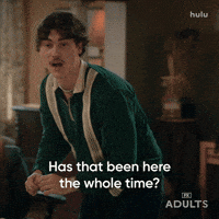 Nick Kroll Comedy GIF by Adults