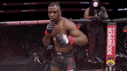 Francis Ngannou Sport GIF by UFC