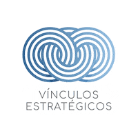 Vinculosestrategicos vinculos estrategicos Sticker