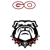 Register To Vote Election 2020 Sticker by #GoVote