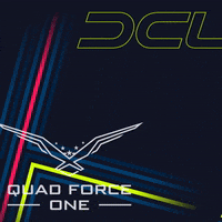 DCLofficial dcl drone racing fpv drone karate kick GIF