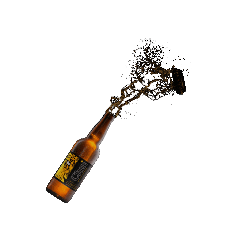 Beer Congo Sticker by Brasimba