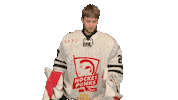 Hockey Goalie Sticker by ledoritulys.lt