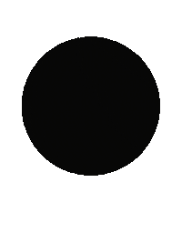 New Book Shib Sibs Sticker by PenguinKids