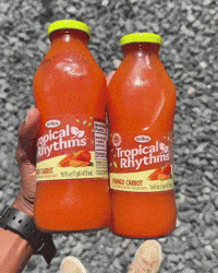 Fruit Punch Drinks GIF