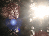 sunny day animation GIF