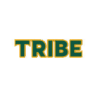 William And Mary College Sticker by William & Mary Tribe Athletics