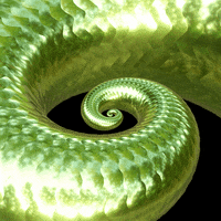 Snake Spiral GIF by Feliks Tomasz Konczakowski