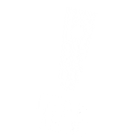 Dermmedic skincare acne antiage huidtherapie Sticker