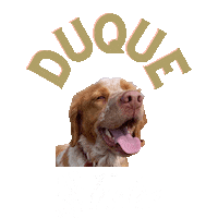 Dogs Trufa Sticker by Trufas del Nuevo Mundo