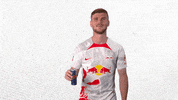Red Bull Football GIF by RB Leipzig