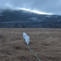 Helicopter Jumping GIF