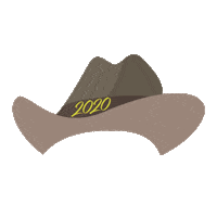 claudia_pavlovich sonora hermosillo feliz2020 bienvenido2020 Sticker