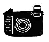 Wonderwallstudios camera flash shoot wonderwallstudios Sticker