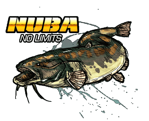 Catfish Wels Sticker by Yuki Competition