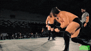 Wrestling GIF by SHWAperth