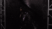 Shwahighstakes GIF by SHWAperth