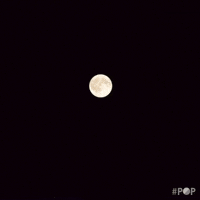 Full Moon Zoom GIF by GoPop