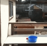 GIF by Random Goat