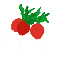 Food Gemuse Sticker