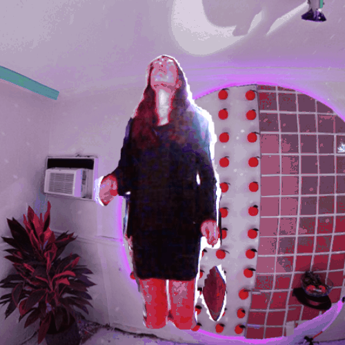 haunting miami beach GIF