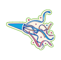 Rn Sticker by NR