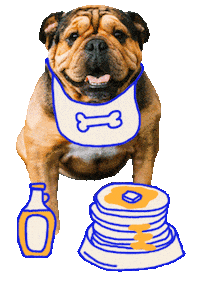 Cat Dog Sticker by Pets Add Life
