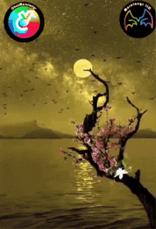 Amigos Flores GIF by Murcianys LLC