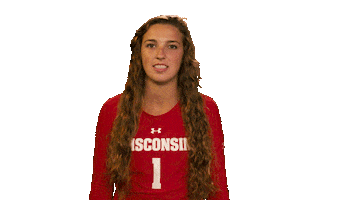 College Sports Sport Sticker by Wisconsin Badgers