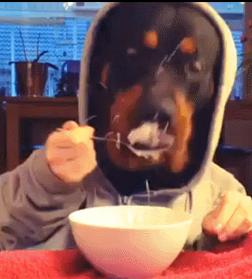 mom bus GIF by Cheezburger