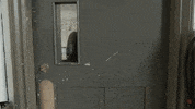 Open Door Investigate GIF by Hallmark Mystery