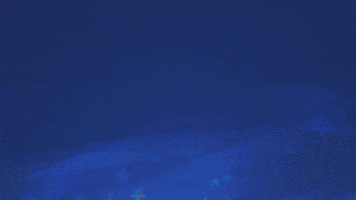 Memorial Day Holiday GIF by Lennar