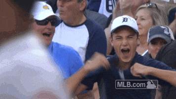 Major League Baseball Reaction GIF by Detroit Tigers