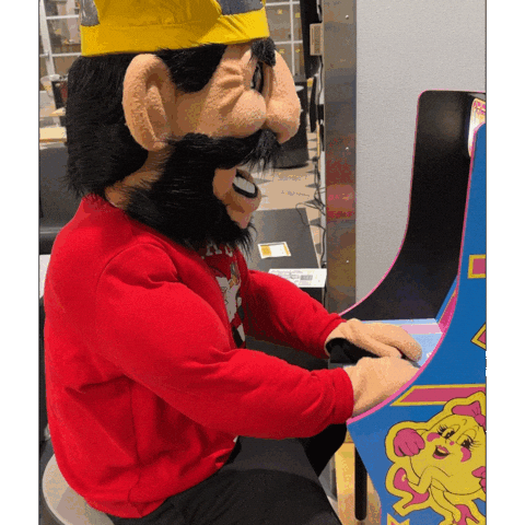 Big Sky Mascot GIF by University of Idaho