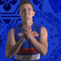 Aussie Rules Football Dogs GIF by Western Bulldogs
