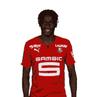 Football Rennes Sticker by Stade Rennais F.C.