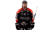 Celebration Goal Sticker by Les Ducs d'Angers