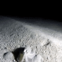 monday no GIF by OctoNation