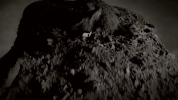 disturbed disturbed GIF