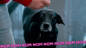 e! nom GIF by Bunim/Murray Productions