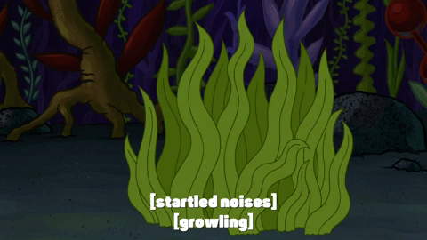 season 9 episode 24 GIF by SpongeBob SquarePants