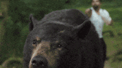 Hungry Chaos GIF by Cocaine Bear